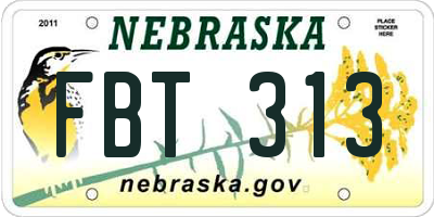 NE license plate FBT313