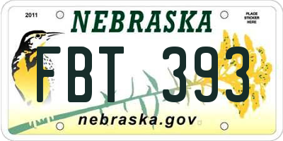 NE license plate FBT393