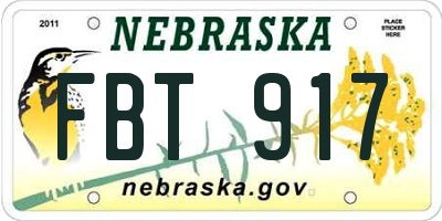 NE license plate FBT917