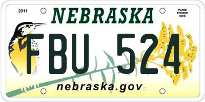 NE license plate FBU524
