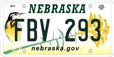 NE license plate FBV293