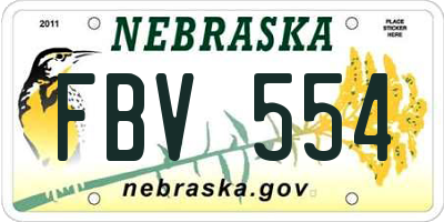 NE license plate FBV554