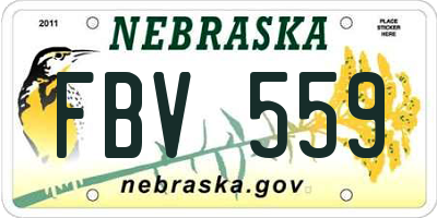NE license plate FBV559
