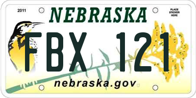 NE license plate FBX121