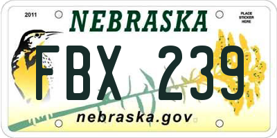 NE license plate FBX239