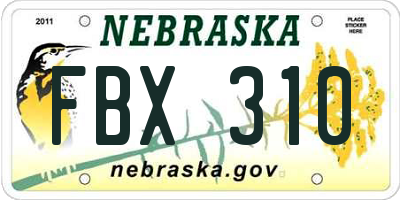 NE license plate FBX310