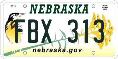 NE license plate FBX313