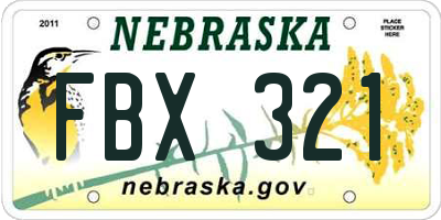 NE license plate FBX321