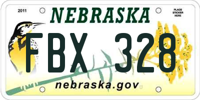 NE license plate FBX328