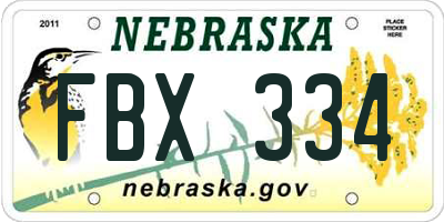 NE license plate FBX334
