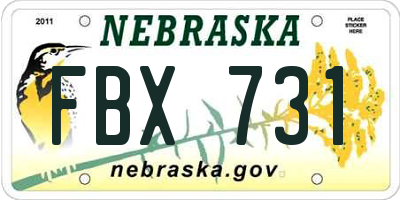 NE license plate FBX731