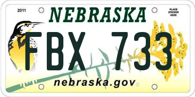 NE license plate FBX733
