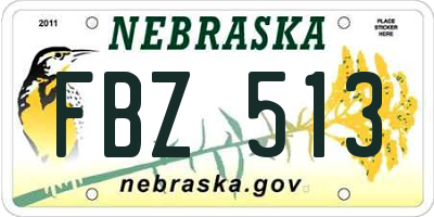 NE license plate FBZ513