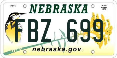 NE license plate FBZ699