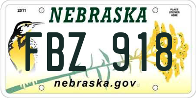 NE license plate FBZ918