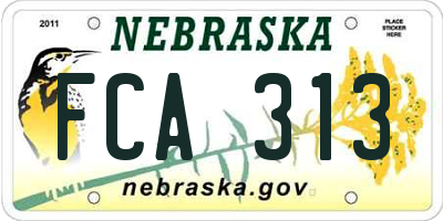NE license plate FCA313