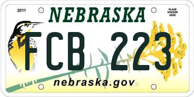 NE license plate FCB223
