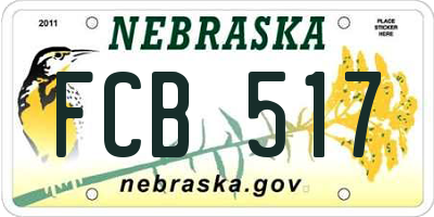 NE license plate FCB517