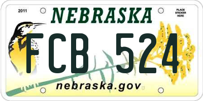 NE license plate FCB524
