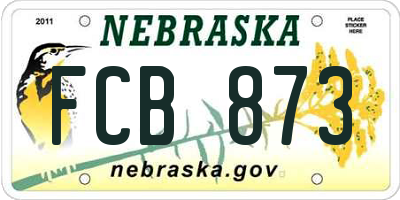 NE license plate FCB873