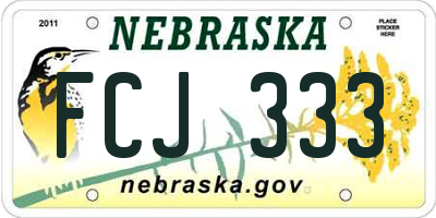 NE license plate FCJ333