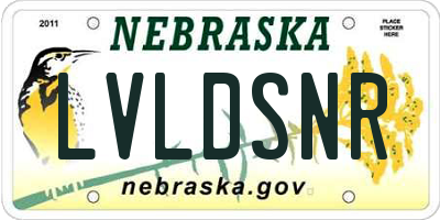 NE license plate LVLDSNR