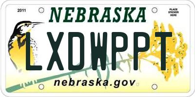 NE license plate LXDWPPT