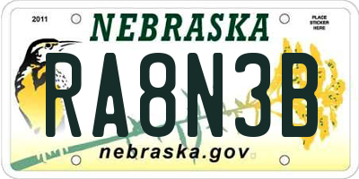 NE license plate RA8N3B