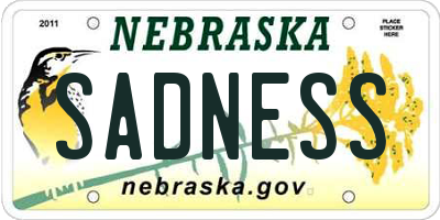 NE license plate SADNESS