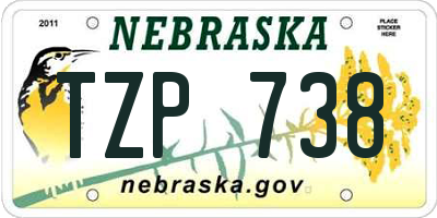 NE license plate TZP738