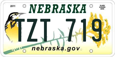 NE license plate TZT719