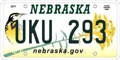 NE license plate UKU293