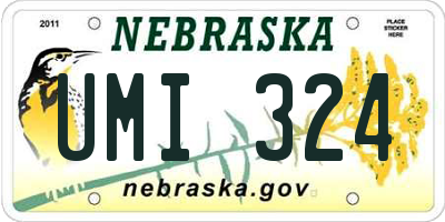 NE license plate UMI324