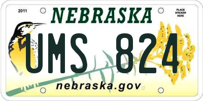 NE license plate UMS824