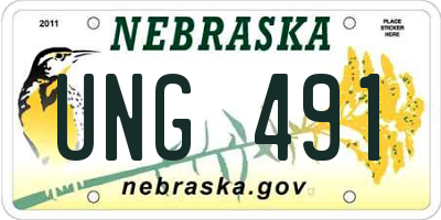 NE license plate UNG491