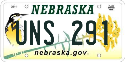 NE license plate UNS291