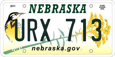 NE license plate URX713