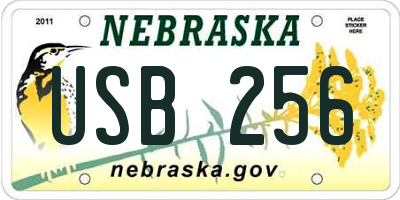 NE license plate USB256