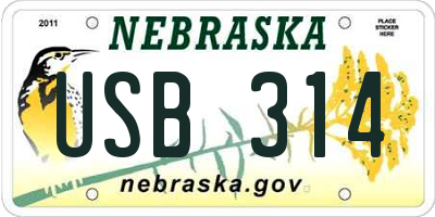 NE license plate USB314