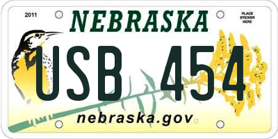 NE license plate USB454