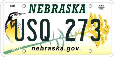 NE license plate USQ273
