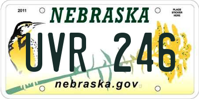 NE license plate UVR246