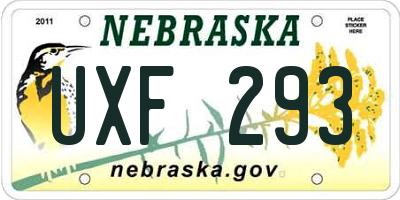 NE license plate UXF293