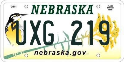 NE license plate UXG219