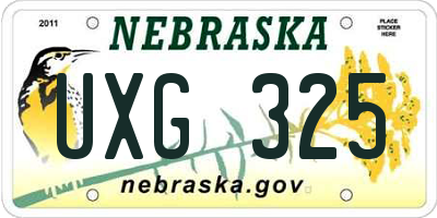 NE license plate UXG325