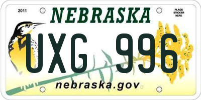 NE license plate UXG996