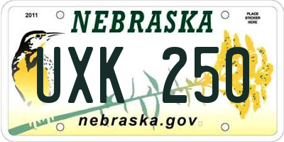 NE license plate UXK250