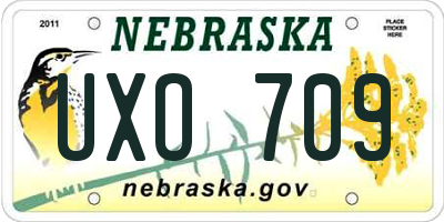 NE license plate UXO709