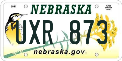 NE license plate UXR873
