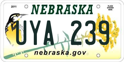 NE license plate UYA239